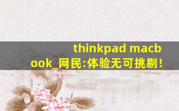 thinkpad macbook_网民:体验无可挑剔！